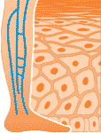 Zentrum Logo